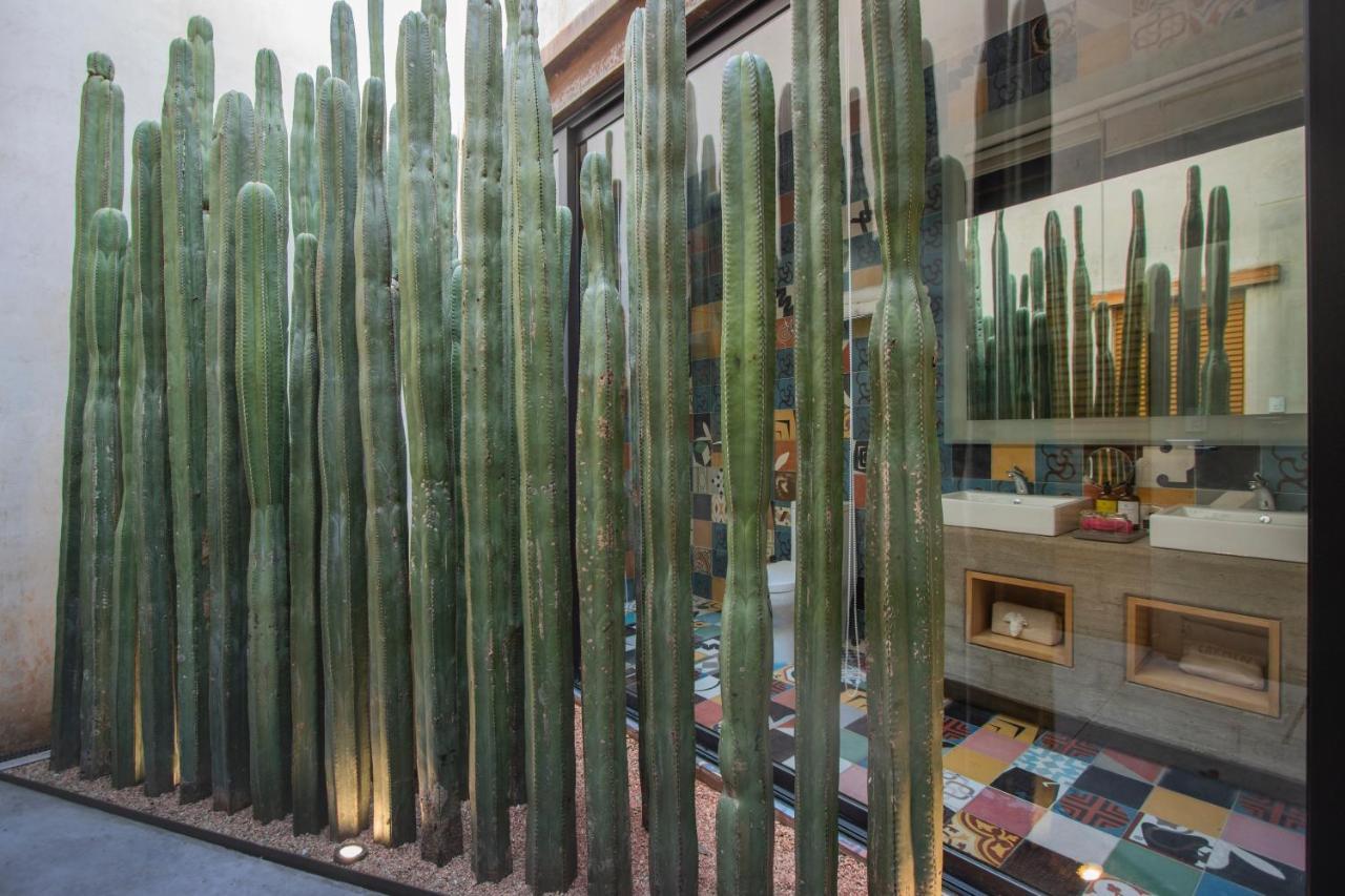 Casa Carmen Reforma Hotel Oaxaca Eksteriør billede