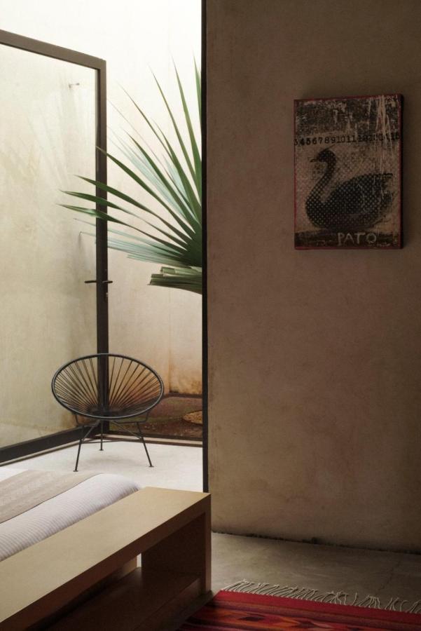 Casa Carmen Reforma Hotel Oaxaca Eksteriør billede