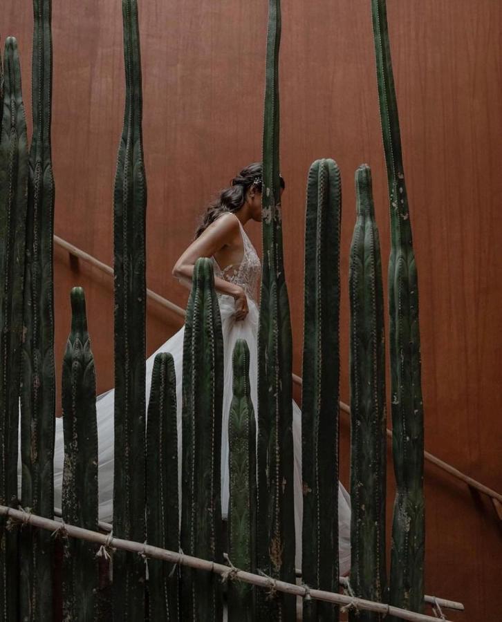 Casa Carmen Reforma Hotel Oaxaca Eksteriør billede