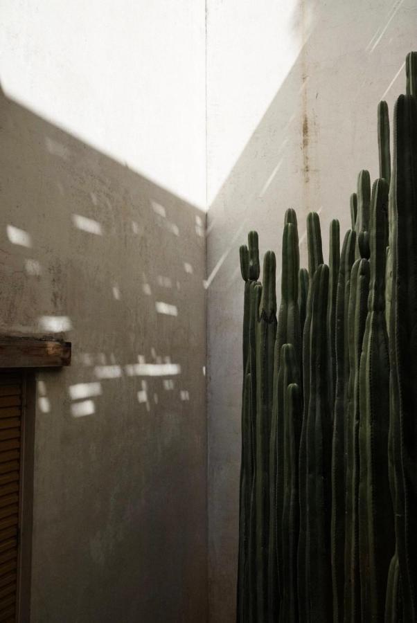 Casa Carmen Reforma Hotel Oaxaca Eksteriør billede