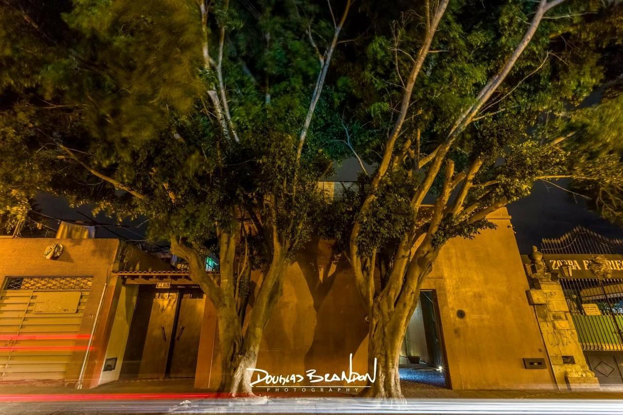 Casa Carmen Reforma Hotel Oaxaca Eksteriør billede